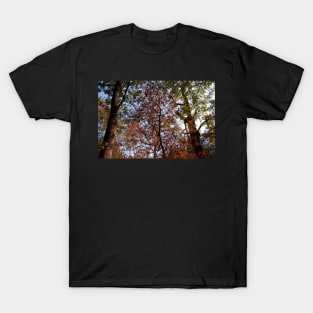 Autumn Leaves III T-Shirt